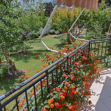For Rent In Διαμέρισμα Shëngjin